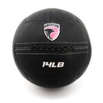 AmericanBarbell Premium Wall Ball 14 lb